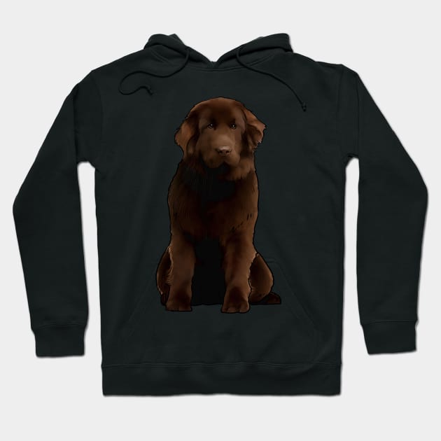 Newfoundland Dog Newfie Hoodie by whyitsme